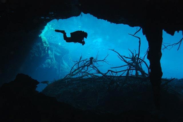 Buceando en Car Wash